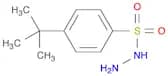 4-TERT-BUTYLBENZENESULFONOHYDRAZIDE