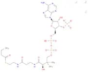 Butyryl Coenzyme A lithium salt