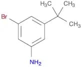 3-BROMO-5-TERT-BUTYLANILINE