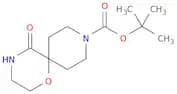 tert-Butyl 5-oxo-1-oxa-4,9-diazaspiro[5.5]undecane-9-carboxylate