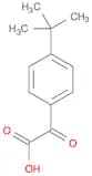 2-(4-Tert-butylphenyl)-2-oxoacetic acid