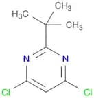 2-tert-butyl-4,6-dichloropyrimidine