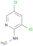 3,5-Dichloro-N-methylpyridin-2-amine
