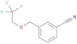 3-[(2,2,2-trifluoroethoxy)methyl]benzonitrile