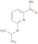 6-(propan-2-yloxy)pyridine-2-carboxylic acid