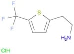 2-[5-(Trifluoromethyl)thiophen-2-yl]ethan-1-amine hydrochloride