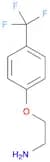 1-(2-Aminoethoxy)-4-(trifluoromethyl)benzene