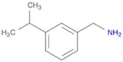 [3-(PROPAN-2-YL)PHENYL]METHANAMINE