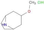 3-Methoxy-8-azabicyclo[3.2.1]octane hydrochloride