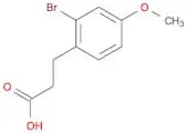 3-(2-Bromo-4-methoxyphenyl)propanoic acid