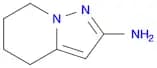 4H,5H,6H,7H-pyrazolo[1,5-a]pyridin-2-amine