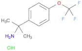 2-[4-(trifluoromethoxy)phenyl]propan-2-amine hydrochloride
