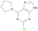2-Chloro-6-(pyrrolidin-1-yl)-9H-purine