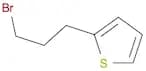 2-(3-bromopropyl)thiophene