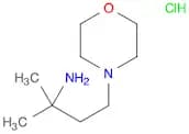 2-Methyl-4-(morpholin-4-yl)butan-2-amine dihydrochloride