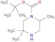 tert-Butyl 2,5,5-trimethylpiperazine-1-carboxylate