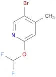 5-bromo-2-(difluoromethoxy)-4-methylpyridine