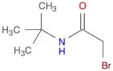 2-bromo-N-tert-butylacetamide