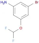 3-Bromo-5-(Difluoromethoxy)Aniline