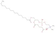(2S,5S)-5-Amino-7-carboxy-1-hydroxy-4-oxo-3-(palmitoyloxy)heptan-2-yl (2-(trimethylammonio)ethyl) …