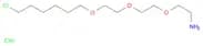 Ethanamine, 2-[2-[2-[(6-chlorohexyl)oxy]ethoxy]ethoxy]-, hydrochloride (1:1)
