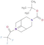 tert-butyl 9-oxo-7-(2,2,2-trifluoroacetyl)-3,7-diaza-bicyclo[3.3.1]nonane-3-carboxylate