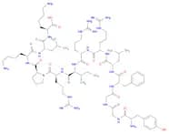 Dynorphin A (1-13) H-Tyr-Gly-Gly-Phe-Leu-Arg-Arg-Ile-Arg-Pro-Lys-Leu-Lys-OH