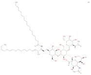 GM2-Ganglioside