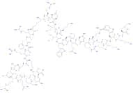 PKCβpseudosubstrate