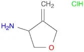 4-methylideneoxolan-3-amine hydrochloride