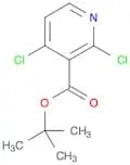 tert-butyl 2,4-dichloronicotinate