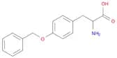4-Benzyloxy-DL-phenylalanine