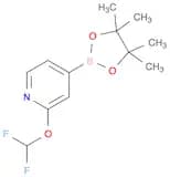 2-(Difluoromethoxy)-4-(4,4,5,5-tetramethyl-1,3,2-dioxaborolan-2-yl)pyridine