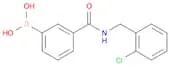 Boronic acid, B-[3-[[[(2-chlorophenyl)methyl]amino]carbonyl]phenyl]-