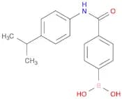 B-[4-[[[4-(1-methylethyl)phenyl]amino]carbonyl]phenyl]Boronic acid