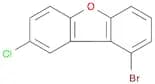 1-Bromo-8-chlorodibenzo[b,d]furan