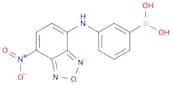 Boronic acid, [3-[(7-nitro-2,1,3-benzoxadiazol-4-yl)amino]phenyl]-