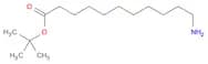 tert-Butyl 11-aminoundecanoate
