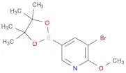3-Bromo-2-methoxypyridine-5-boronic acid pinacol ester