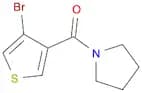 1-[(4-Bromothiophen-3-yl)carbonyl]pyrrolidine