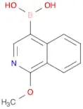1-Methoxyisoquinoline-4-boronic acid