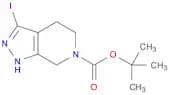 tert-butyl 3-iodo-1H,4H,5H,6H,7H-pyrazolo[3,4-c]pyridine-6-carboxylate