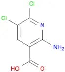 2-amino-5,6-dichloropyridine-3-carboxylic acid