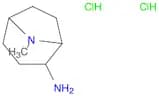 8-Methyl-8-azabicyclo[3.2.1]octan-2-amine dihydrochloride