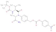 N-[(1,1-dimethylethoxy)carbonyl]-L-valyl-N-[4-[[[(4-nitrophenoxy)carbonyl]oxy]methyl]phenyl]-L-ala…