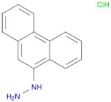 (PHENANTHREN-9-YL)HYDRAZINE HYDROCHLORIDE