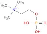 N,N,N-Trimethyl-2-(phosphonooxy)ethan-1-aminium