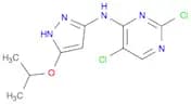 2,5-DICHLORO-N-(5-ISOPROPOXY-1H-PYRAZOL-3-YL)PYRIMIDIN-4-AMINE