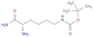 Carbamic acid, N-[(5S)-5,6-diamino-6-oxohexyl]-, 1,1-dimethylethyl ester