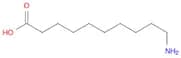 Decanoic acid, 10-amino-, homopolymer